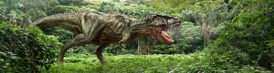 Przyjęcie dinozaury